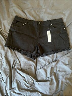 Highway Jeans Black Frayed Hem Denim Shorts